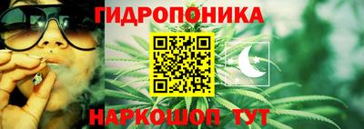 ПСИЛОЦИБИНОВЫЕ ГРИБЫ Кулебаки
