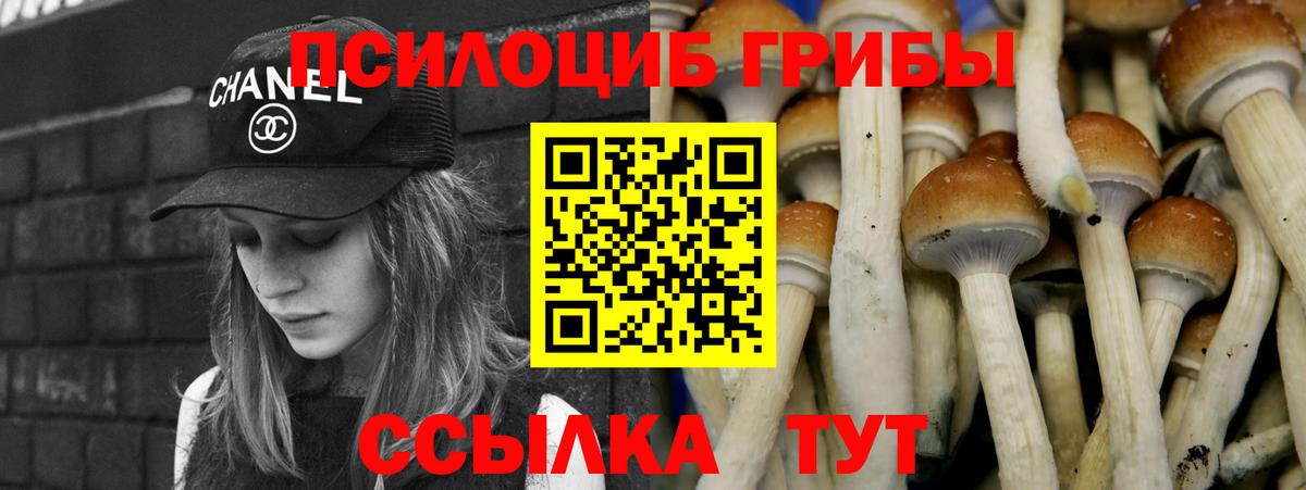 Донецк  Галлюциногенные грибы ЛСД  Псилоцибиновые грибы Psilocybe  Вход с VPN 